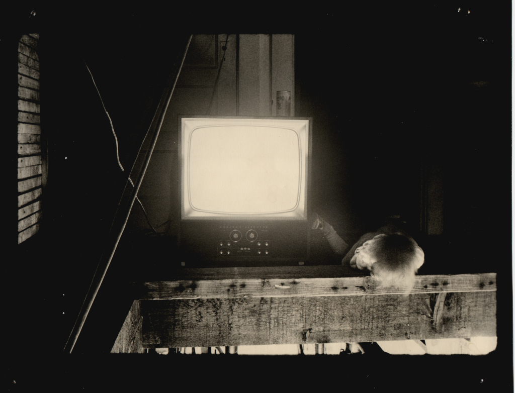 Roger Kent, Hennessey Knoop, The Reno Hotel